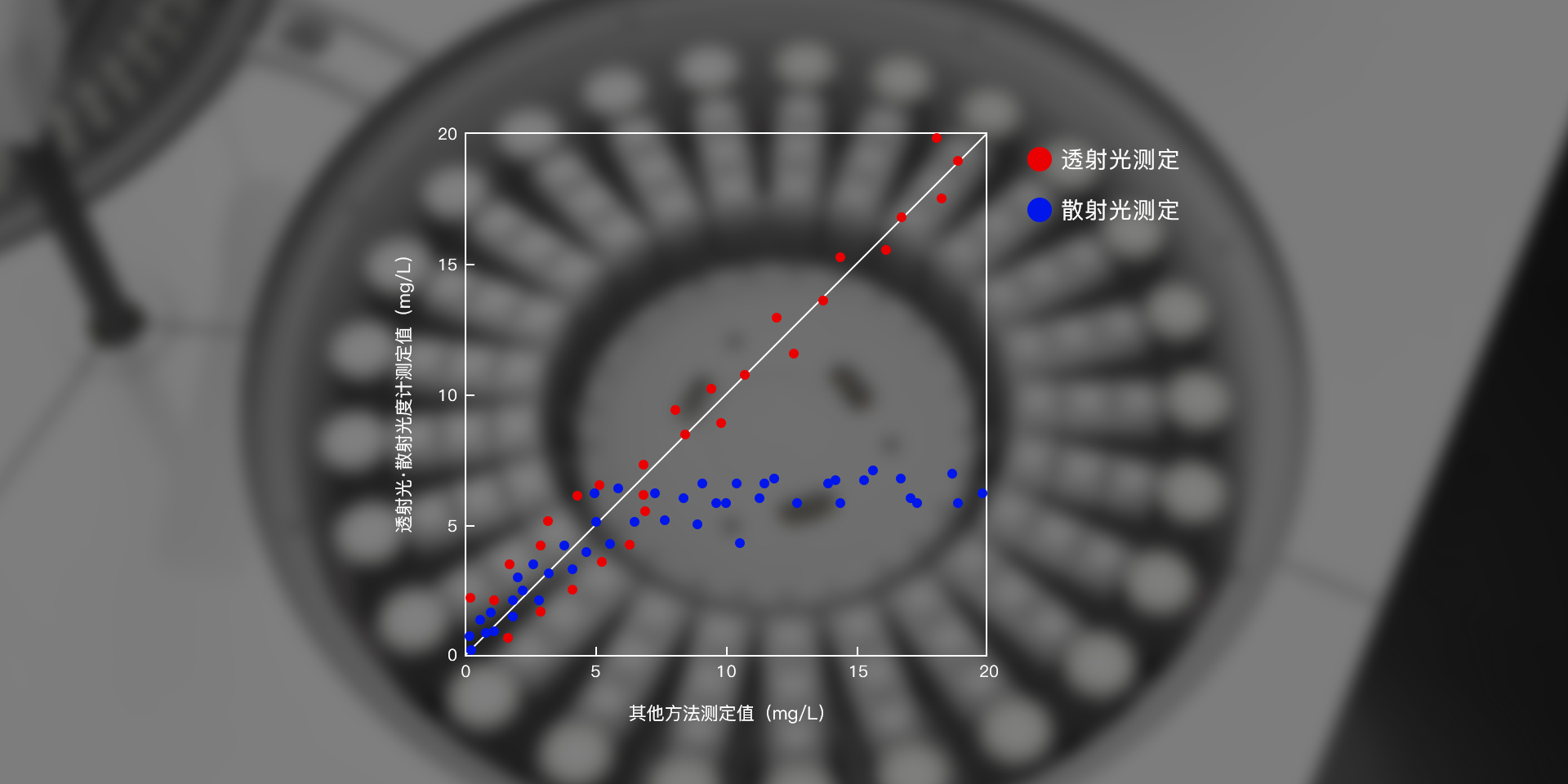 俄罗斯专享会·294VIP(中国区)官方网站
